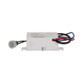 81023