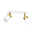 113404