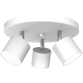 113732