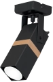 116398
