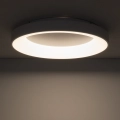 4c5d7645dfd36c8ae5111e0e5df1de87