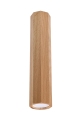 731