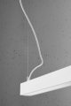 7736