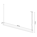 8481