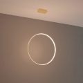 8850