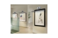 267