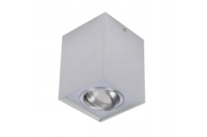 Lampa wewnętrzna / natynkowa ELOY 1 aluminium AZ0991 Azzardo