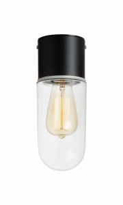 ZEN Ceiling 1L Black/Clear IP44 107796 Markslojd