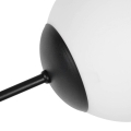 65498