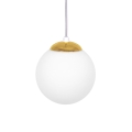 4244