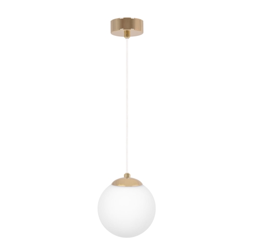 6041