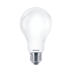 Żarówka LED E27 17,5W 6500K A67 EKZPH616