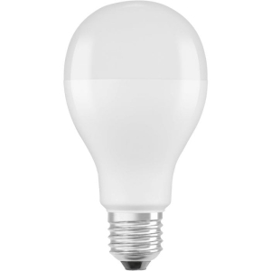Żarówka LED E27 19W 6500K 2451lm EKZOS275