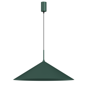 Lampa wisząca CAPITAL ZIELONY 1XGX53 MLP0949 Milagro