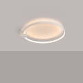 17132