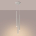 14246