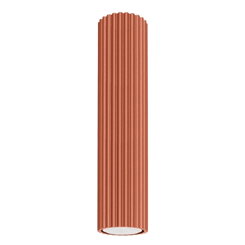 15575
