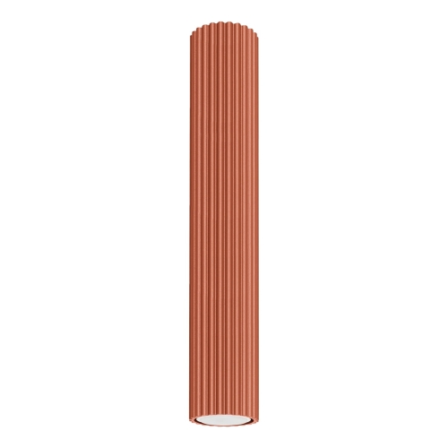 15587