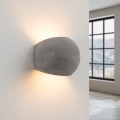 20290