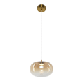 25196