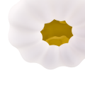 24b084db2762940c1f755d81a65057f6