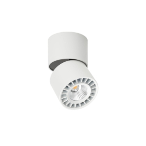 Lampa sufitowa HERIOS 1xLED CLN-97018-12W-L-3K Italux