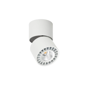 Lampa sufitowa HERIOS 1xLED CLN-97018-12W-L-3K Italux