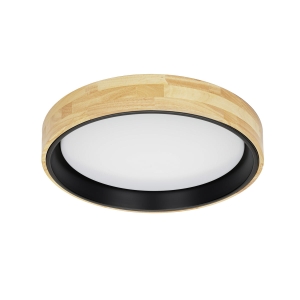 Lampa sufitowa CAMPELO 1xLED PLF-4350-25W-WD-BK-4K Italux