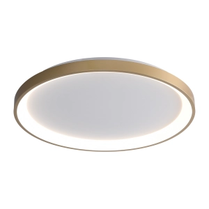 Lampa sufitowa RADEN 1xLED CLN-3151-M-GD Italux