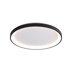 Lampa sufitowa RADEN 1xLED CLN-3151-S-BK Italux
