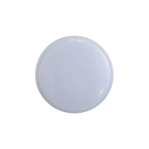 Lampa sufitowa BORLA LED PLF-63748-S-CL Italux
