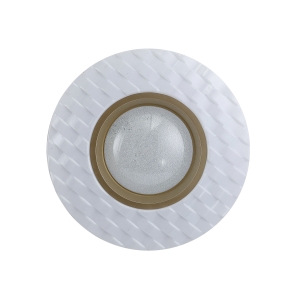Lampa sufitowa BUMI LED PLF-53647-M-CL Italux