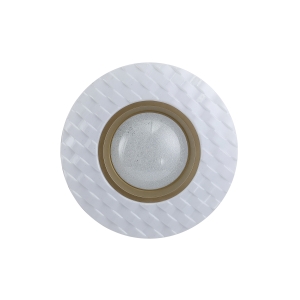 Lampa sufitowa BUMI LED PLF-53647-S-CL Italux