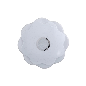 Lampa sufitowa NORMI LED PLF-85740-S-CL Italux
