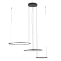 5903139116480.jpg