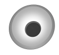 6b5d53cf4e309068673d0807e4918fc9