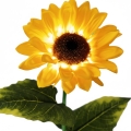 937112332bc2778d55802afb5dbb6a7f