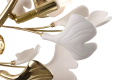 011eb6e2f67f46773eff83ca241c99fc
