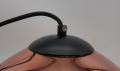 282568