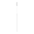 284611