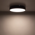 be16ca1a9e05c2542c01d8e208069cd8