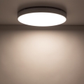 cd003531ba5a1c6a800c9ded6b3daaa8