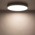 cd003531ba5a1c6a800c9ded6b3daaa8