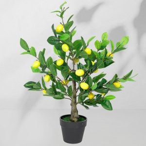 Roślina doniczkowa Drzewko cytrynowe 5229 70 cm EKKW2701 Eko-Light