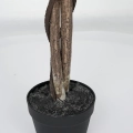 30800