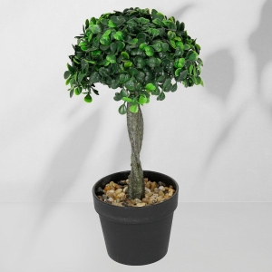 Roślina doniczkowa Drzewko bukszpanowe 5287 28 cm EKKW2708 Eko-Light