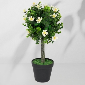 Roślina doniczkowa Drzewko bukszpanowe 5517 40 cm EKKW2711 Eko-Light