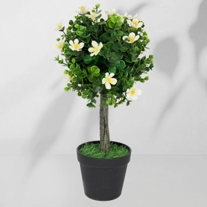 Roślina doniczkowa Drzewko bukszpanowe 5517 40 cm EKKW2711 Eko-Light