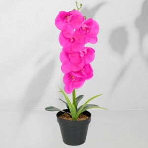 Roślina doniczkowa Storczyk 6401 43 cm EKKW2715 Eko-Light