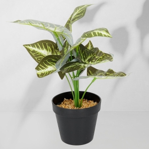 Roślina doniczkowa Maranta 6402 35 cm EKKW2716 Eko-Light